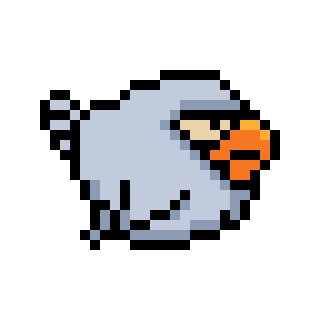 bird image