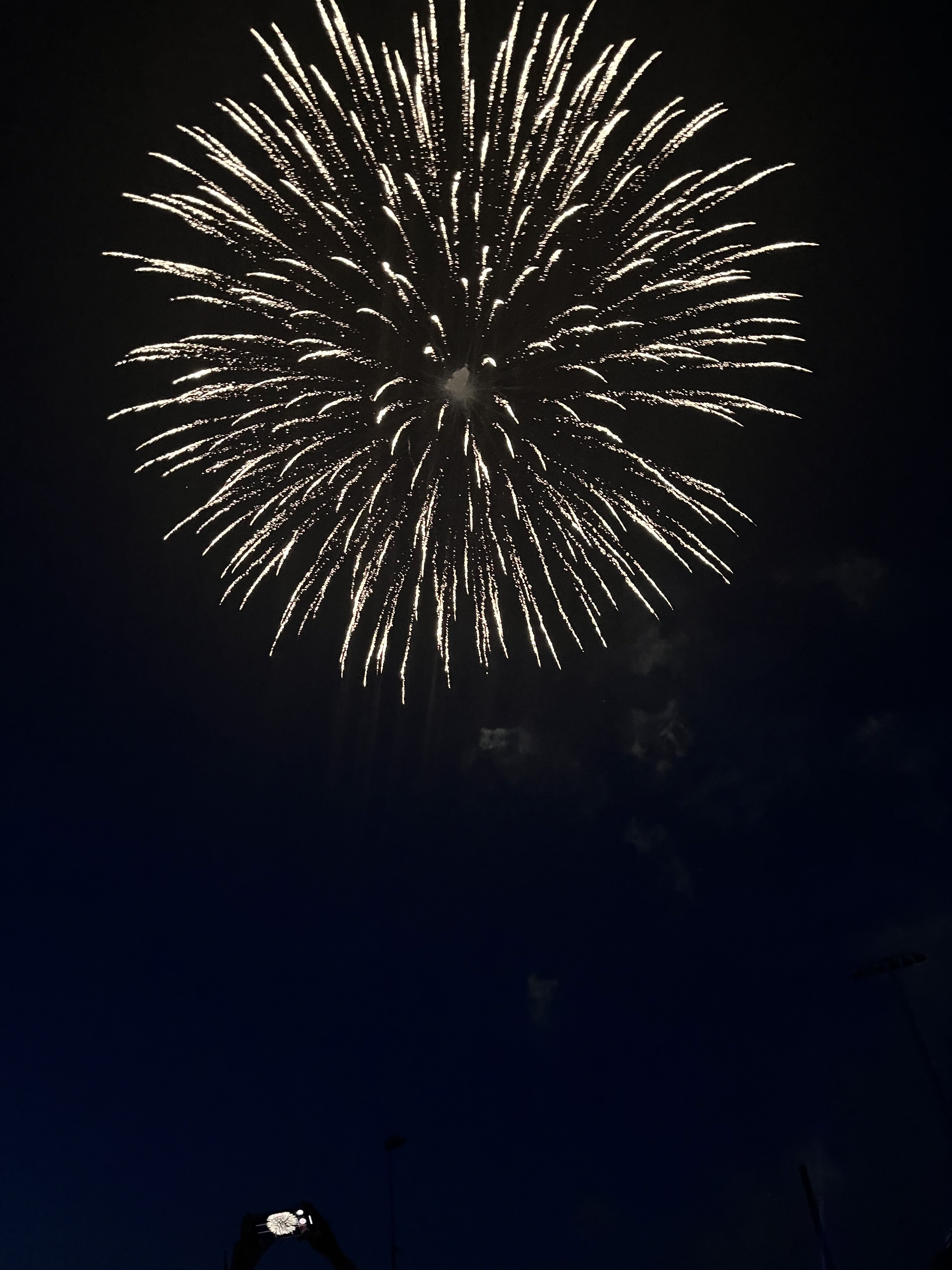 fireworks1